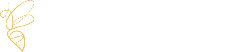 Bies Family Foundation