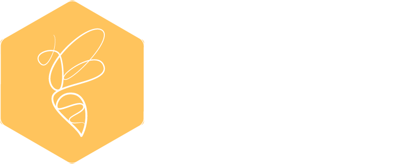 Bies Family Foundation