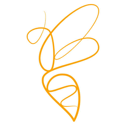 Bies Family Foundation